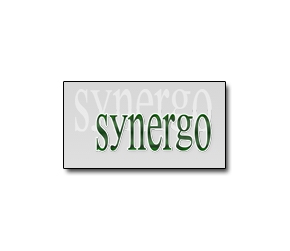 Synergo Hr